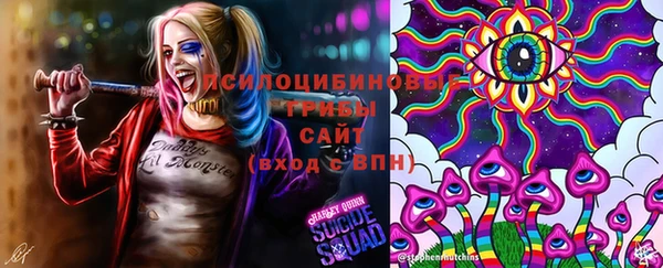 дмт Алзамай